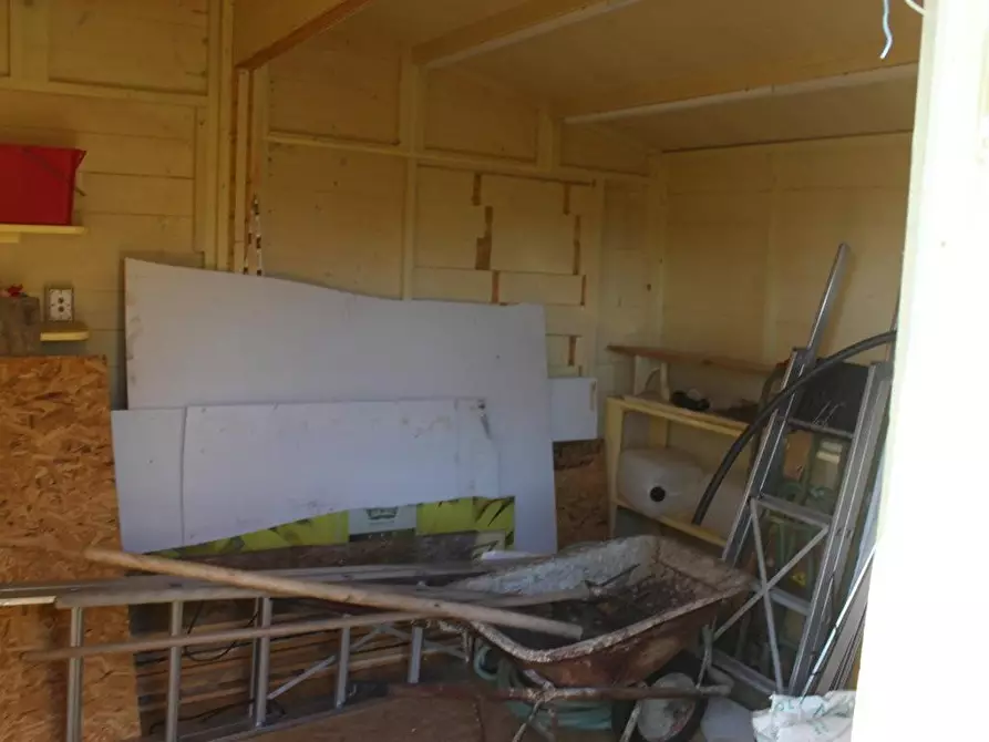 Immagine 5 di Terreno agricolo in vendita  a Bibbona