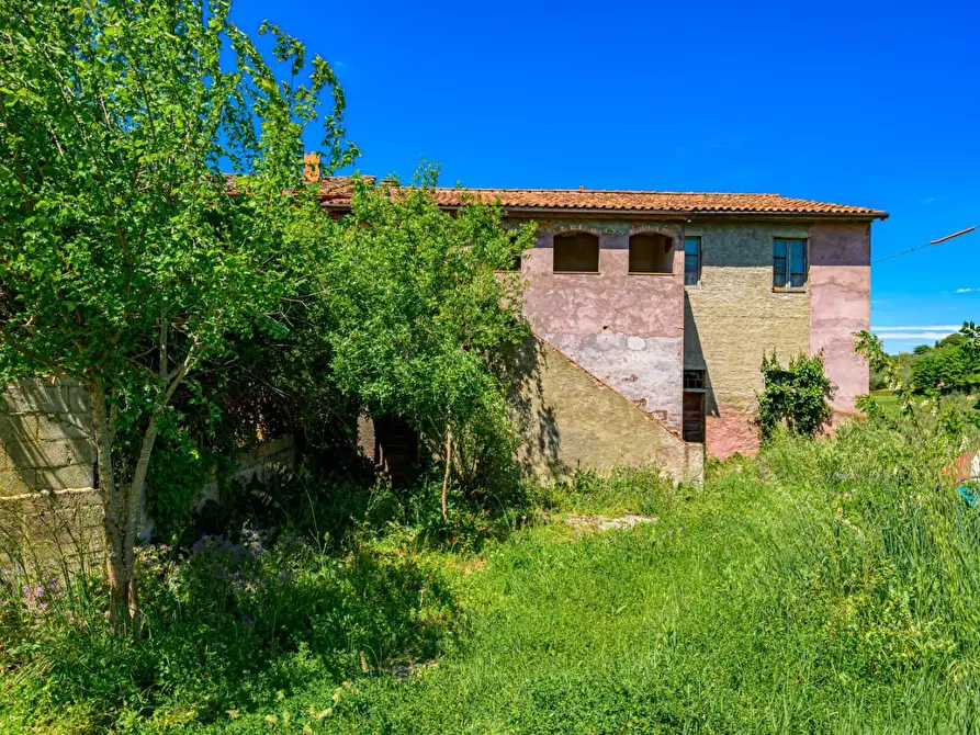 Immagine 1 di Casa colonica in vendita  a Capannoli