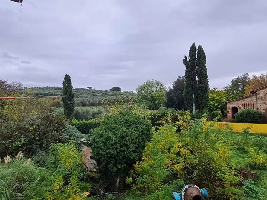 Immagine 32 di Casa colonica in vendita  a Capannoli