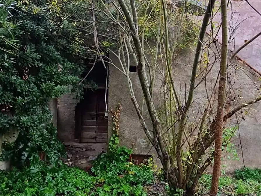 Immagine 36 di Casa colonica in vendita  a Capannoli