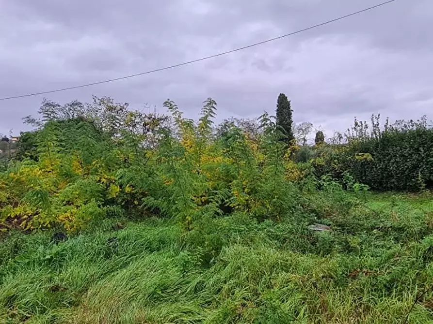 Immagine 33 di Casa colonica in vendita  a Capannoli