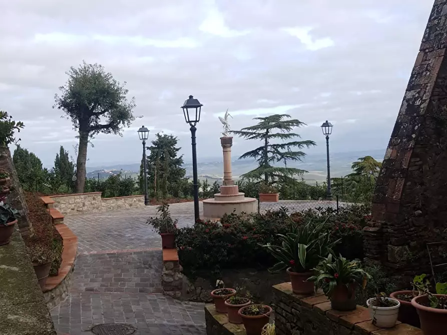 Immagine 21 di Appartamento in vendita  a Lajatico