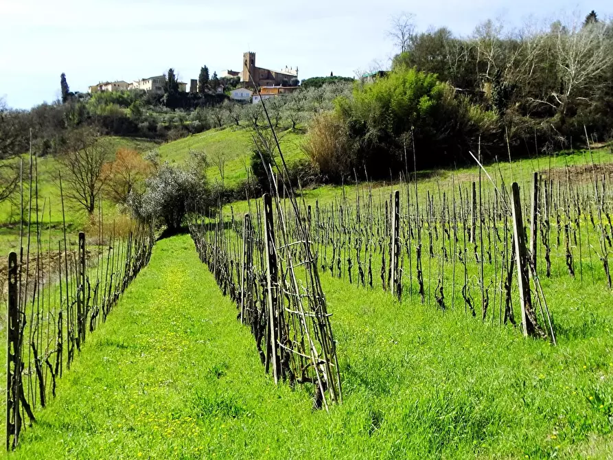 Immagine 21 di Casa indipendente in vendita  a San Miniato