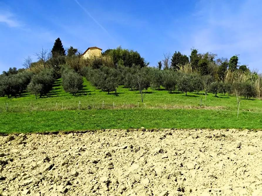 Immagine 22 di Casa indipendente in vendita  a San Miniato