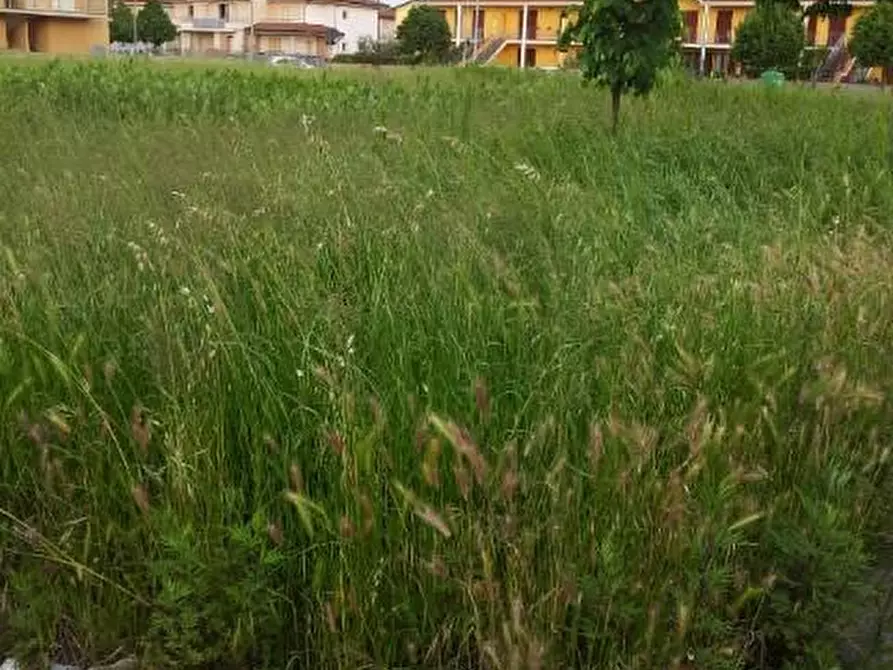 Immagine 6 di Terreno residenziale in vendita  a Santa Croce Sull'arno