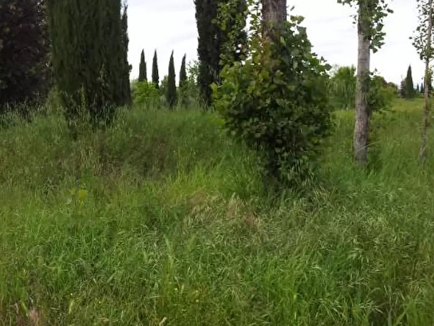 Immagine 2 di Terreno residenziale in vendita  a Santa Croce Sull'arno