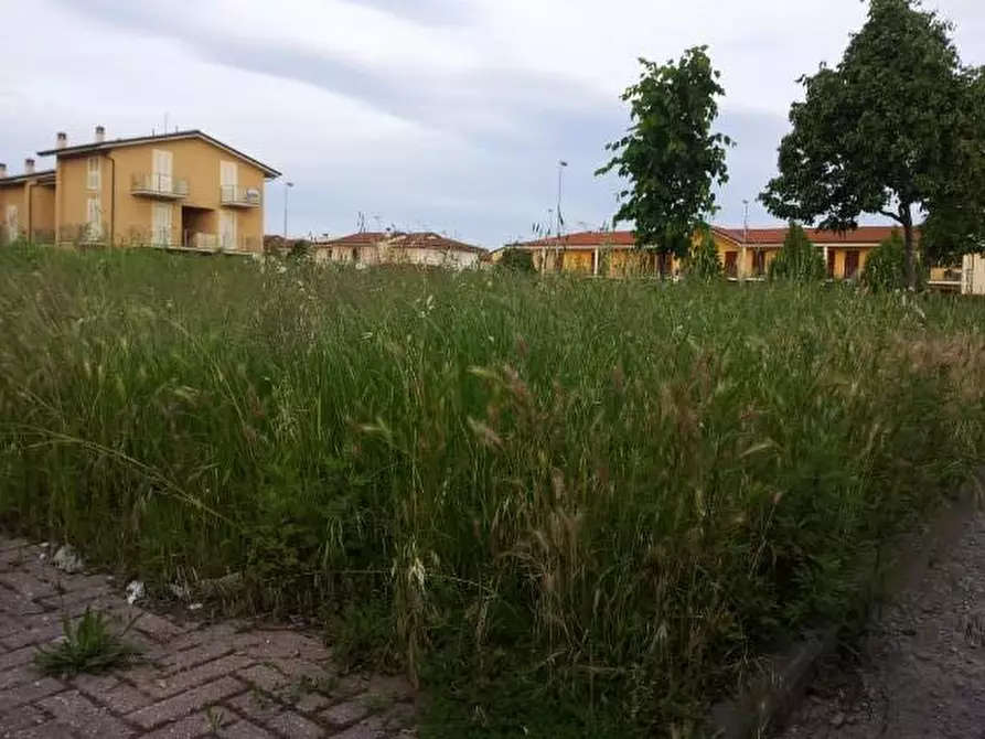 Immagine 7 di Terreno residenziale in vendita  a Santa Croce Sull'arno