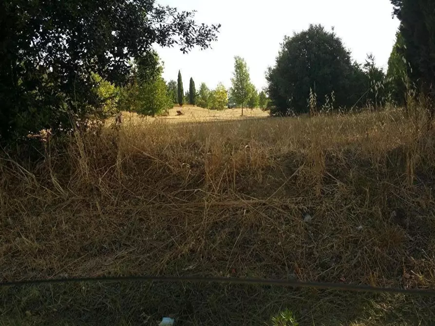 Immagine 4 di Terreno residenziale in vendita  a Santa Croce Sull'arno
