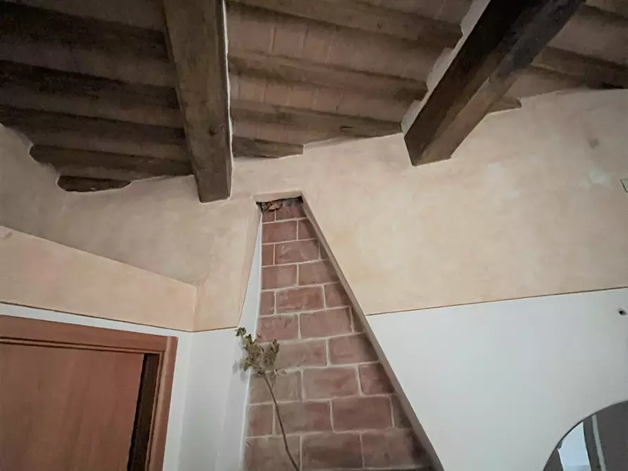 Immagine 3 di Locale commerciale in vendita  a Pisa