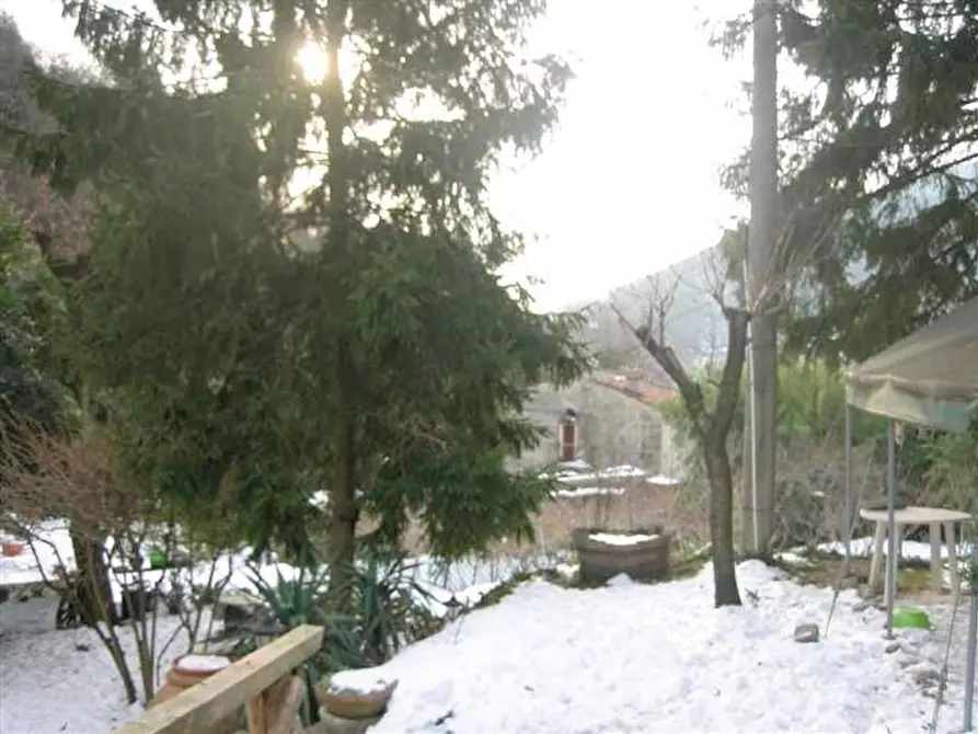 Immagine 6 di Rustico / casale in vendita  a Calci