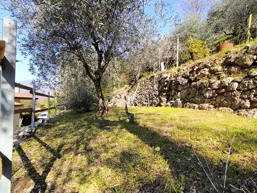 Immagine 28 di Casa indipendente in vendita  a Carrara
