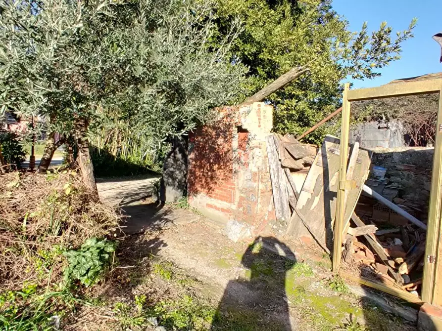 Immagine 17 di Terratetto in vendita  a Lucca