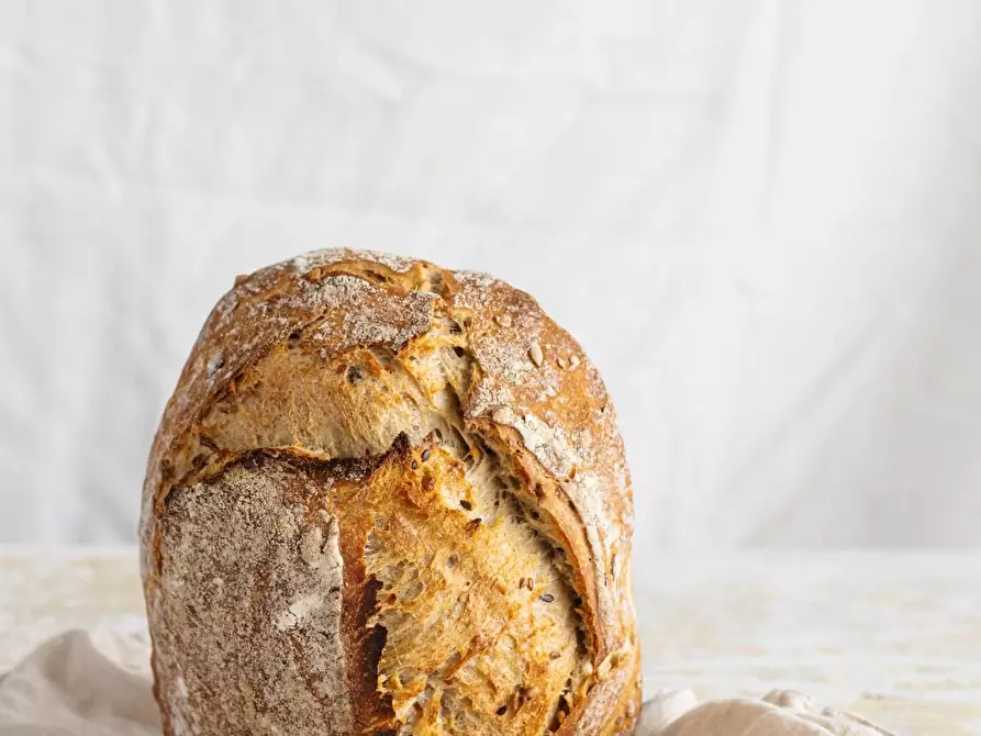 Immagine 20 di Attività commerciale in vendita  a Empoli