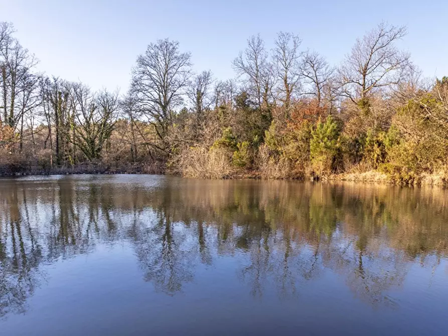 Immagine 39 di Villa in vendita  a Fucecchio