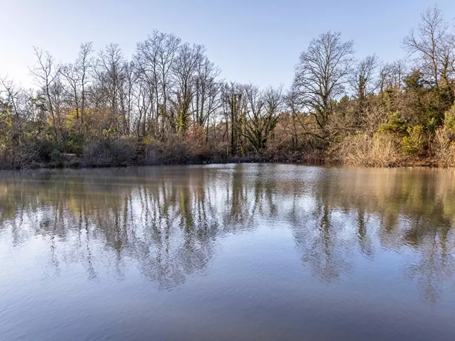 Immagine 38 di Villa in vendita  a Fucecchio