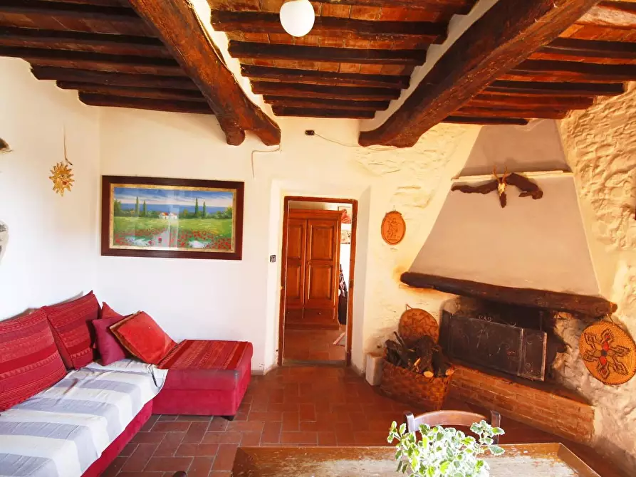 Immagine 9 di Casa colonica in vendita  a Lamporecchio