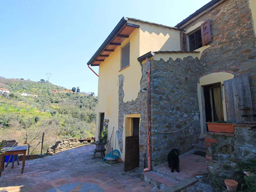 Immagine 26 di Casa colonica in vendita  a Lamporecchio