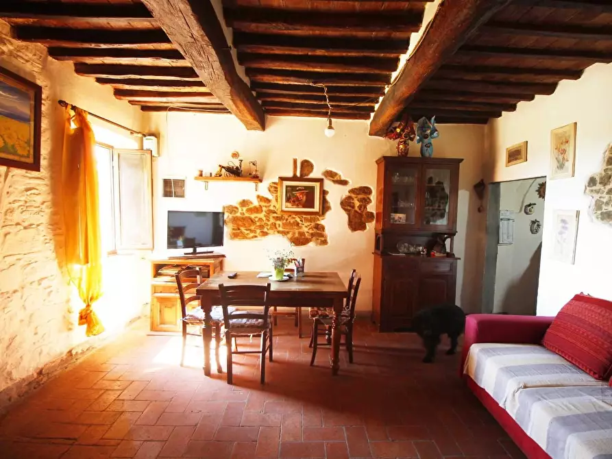 Immagine 11 di Casa colonica in vendita  a Lamporecchio