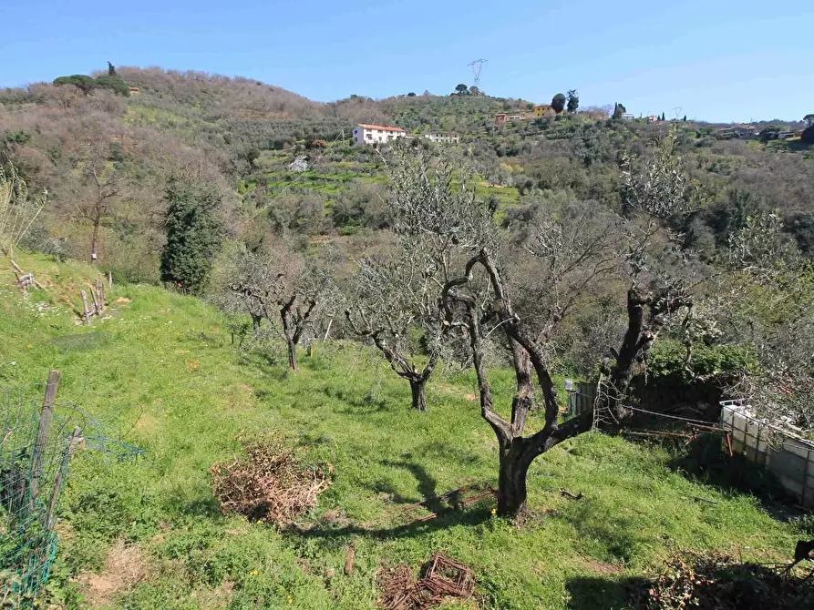 Immagine 21 di Casa colonica in vendita  a Lamporecchio