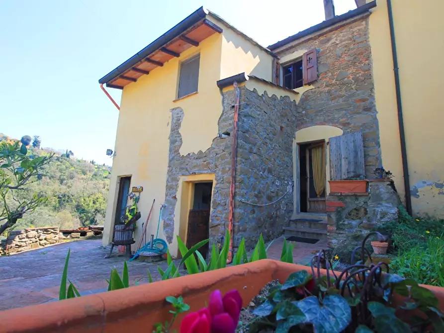 Immagine 27 di Casa colonica in vendita  a Lamporecchio