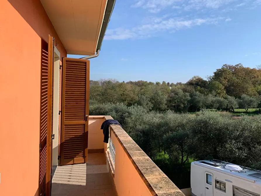 Immagine 32 di Appartamento in vendita  a Santa Maria A Monte