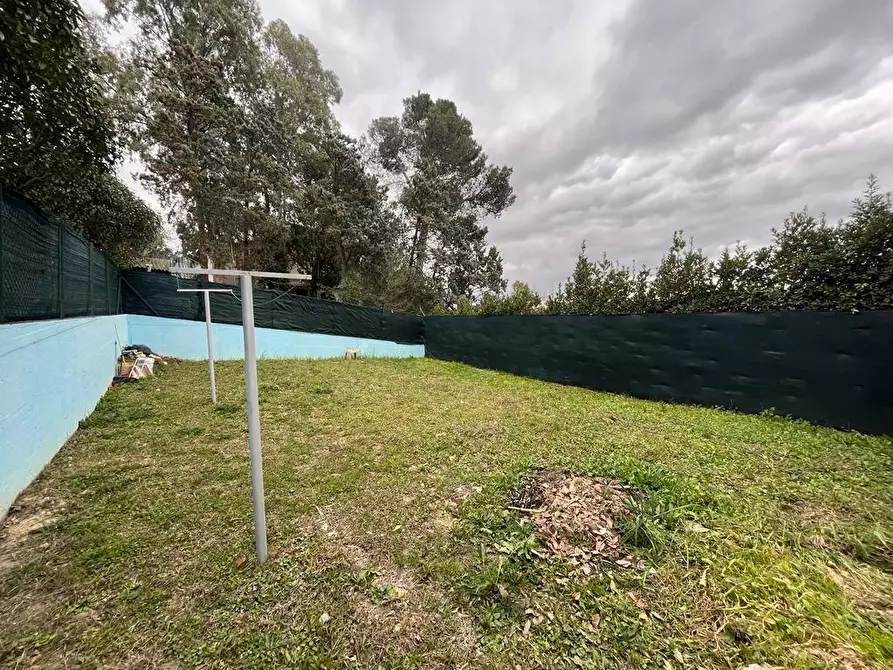 Immagine 5 di Appartamento in vendita  a Orciano Pisano