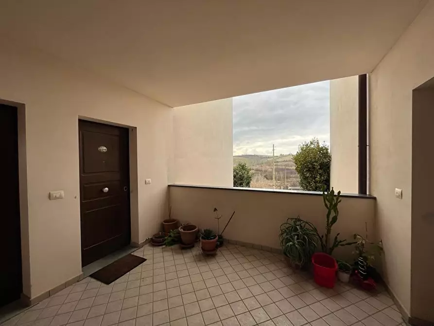 Immagine 29 di Appartamento in vendita  a Orciano Pisano