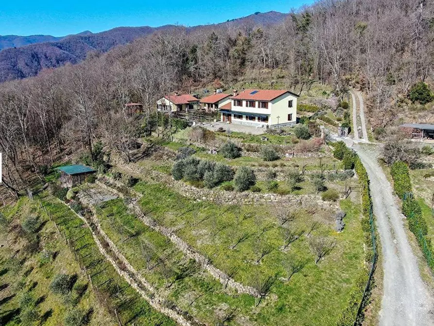 Immagine 1 di Villa in vendita  a Tresana