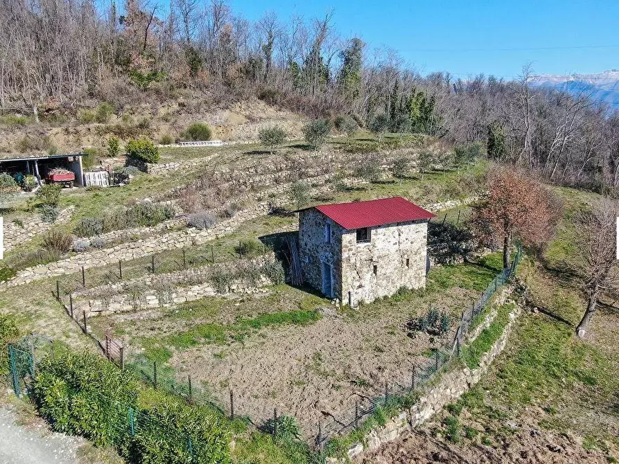 Immagine 21 di Villa in vendita  a Tresana