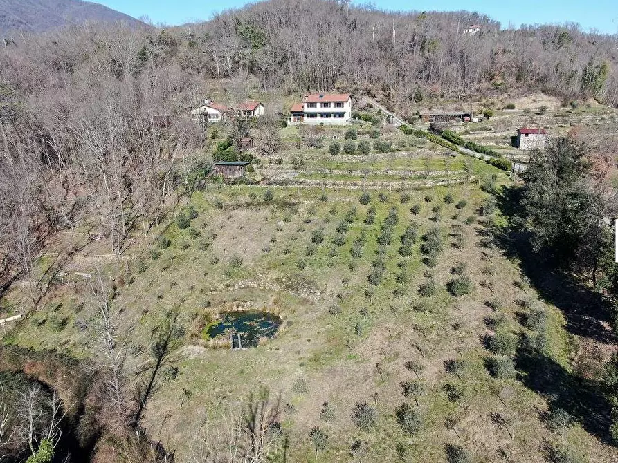 Immagine 20 di Villa in vendita  a Tresana