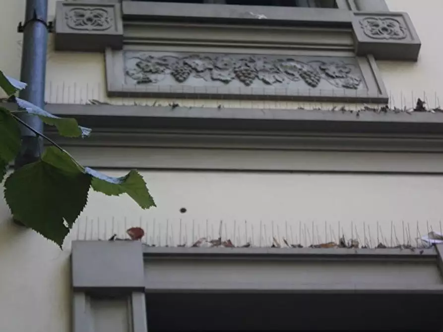 Immagine 4 di Villa in vendita  a Lucca