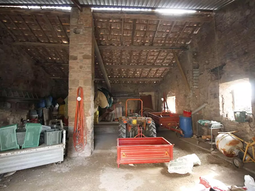 Immagine 4 di Casa colonica in vendita  a Vinci