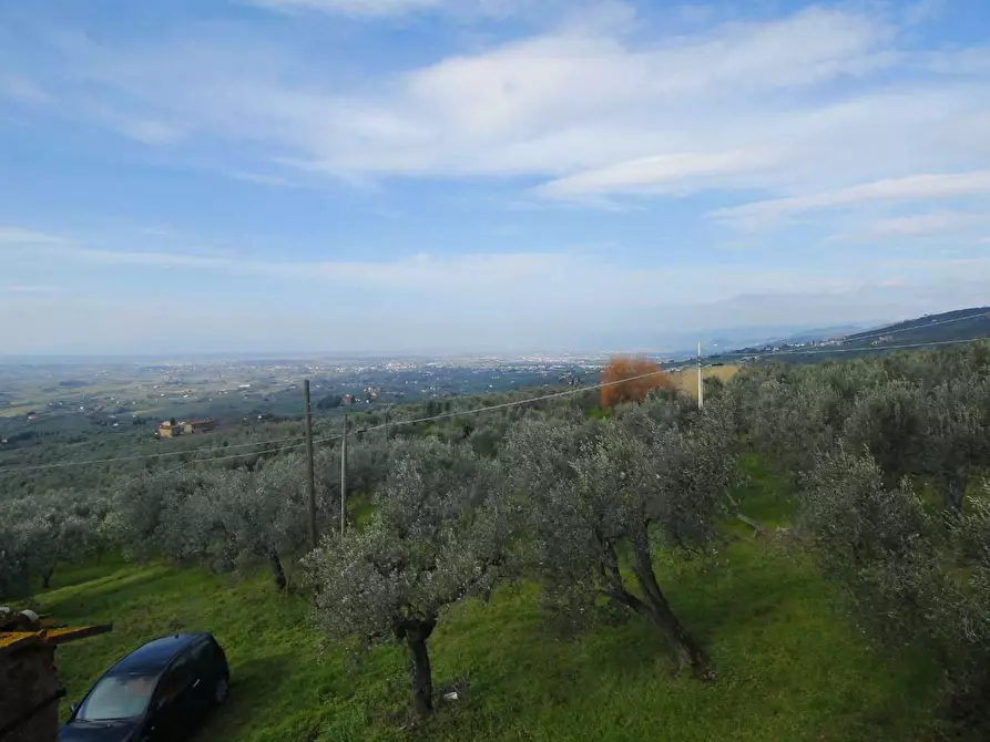 Immagine 10 di Casa colonica in vendita  a Vinci