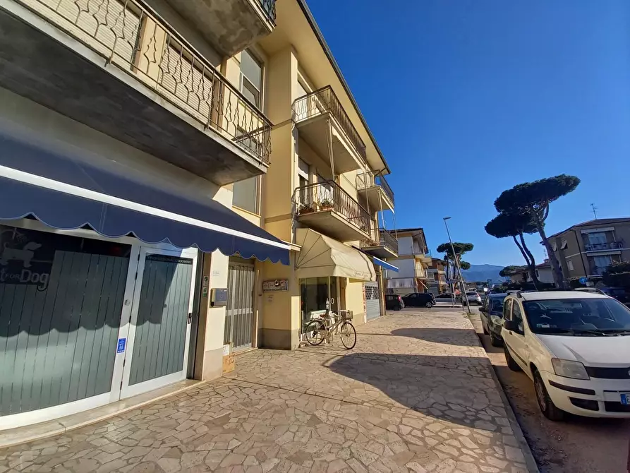 Immagine 35 di Mansarda in affitto  a Camaiore