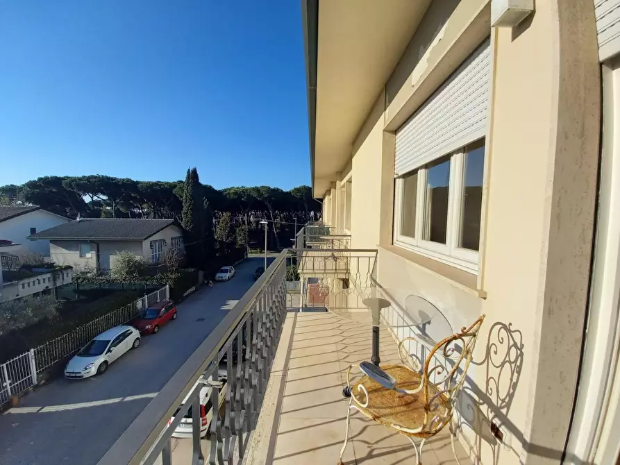 Immagine 15 di Mansarda in affitto  a Camaiore