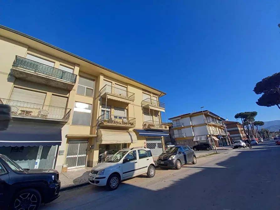 Immagine 36 di Mansarda in affitto  a Camaiore