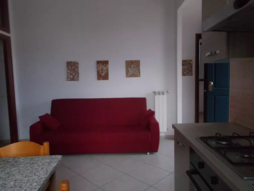 Immagine 9 di Appartamento in affitto  a Pontedera