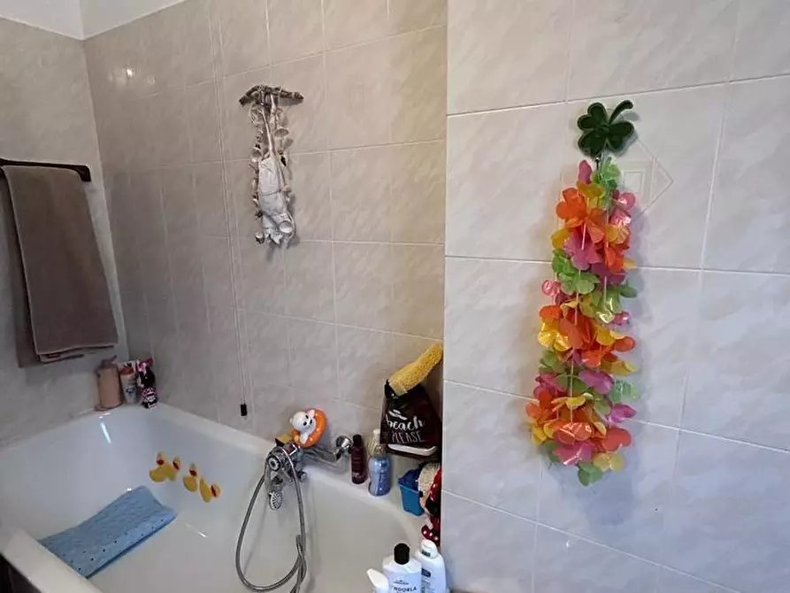 Immagine 6 di Appartamento in vendita  a Aulla