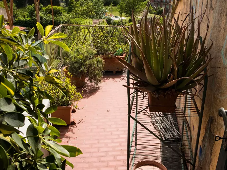 Immagine 26 di Terratetto in vendita  a Pisa