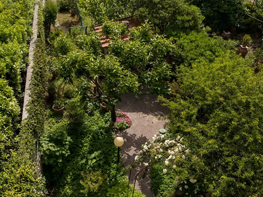 Immagine 27 di Terratetto in vendita  a Pisa