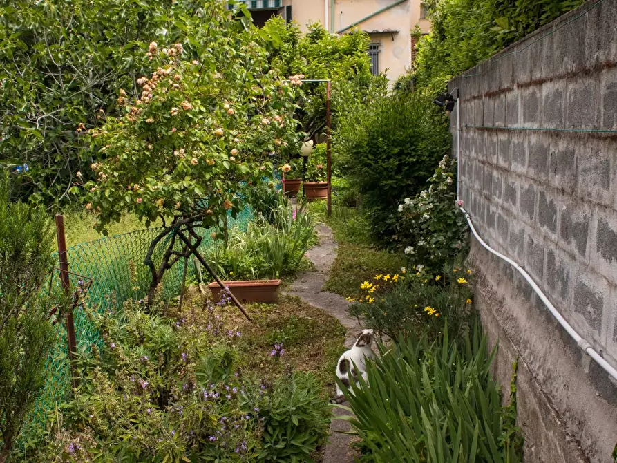 Immagine 33 di Terratetto in vendita  a Pisa