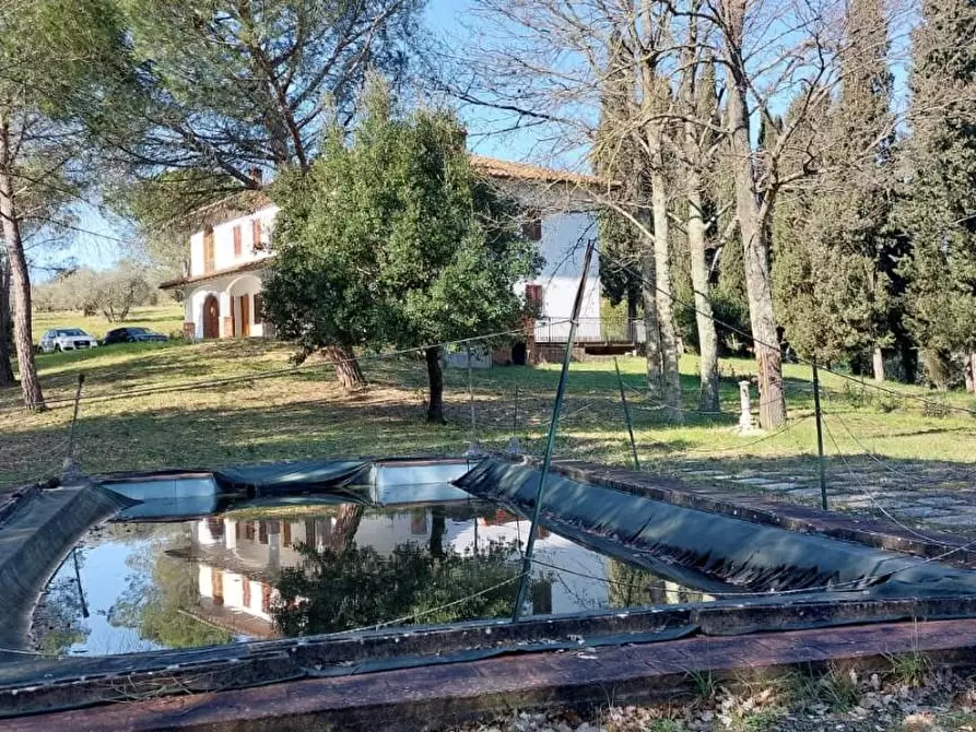 Immagine 2 di Villa in vendita  a Cerreto Guidi