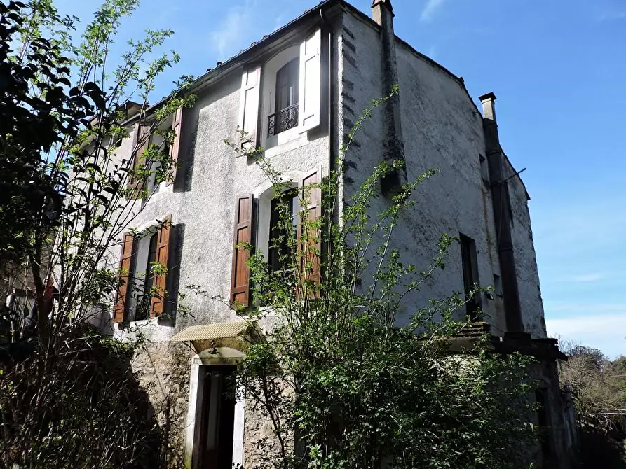 Immagine 3 di Rustico / casale in vendita  a Calci