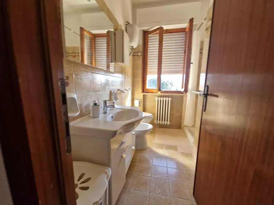 Immagine 4 di Appartamento in affitto  a Rosignano Marittimo