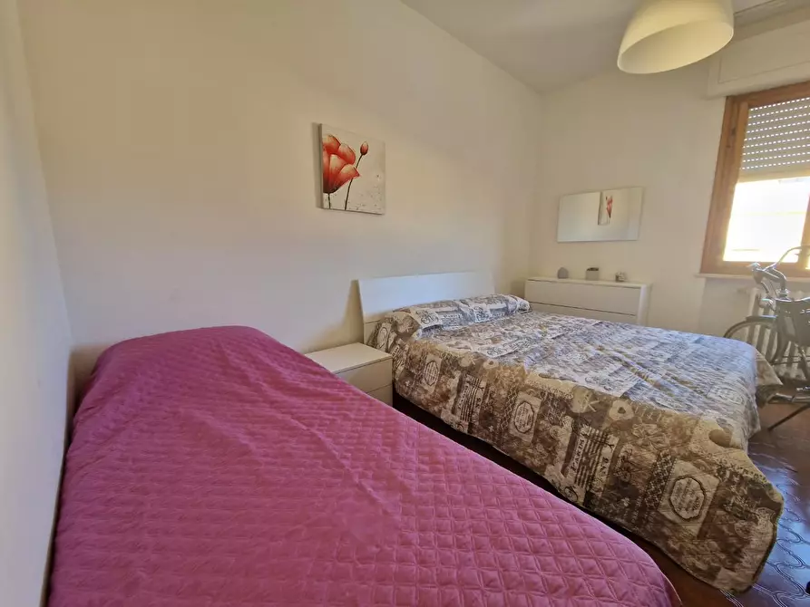 Immagine 8 di Appartamento in affitto  a Rosignano Marittimo