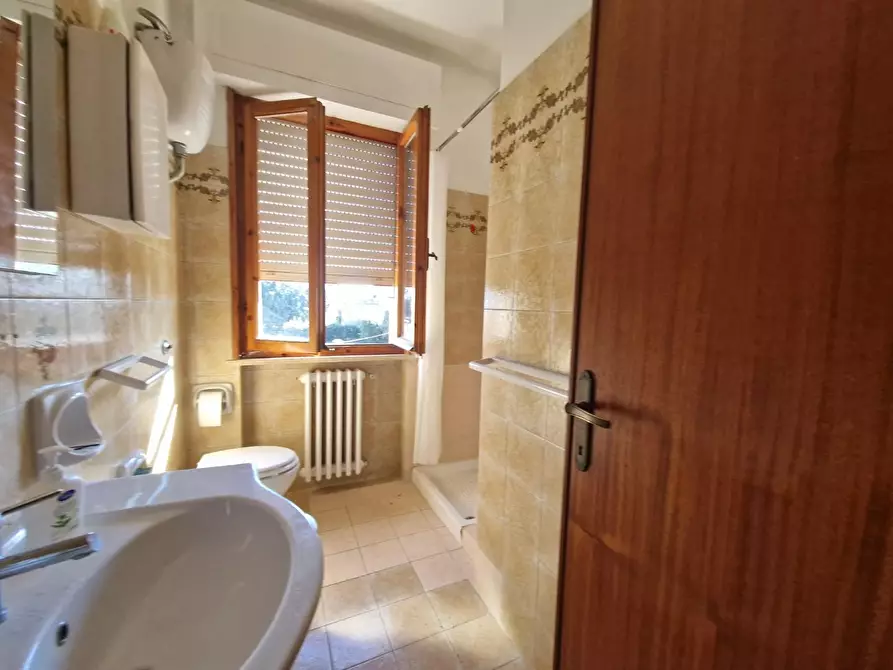 Immagine 5 di Appartamento in affitto  a Rosignano Marittimo