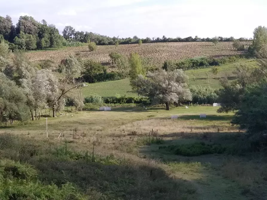 Immagine 1 di Terreno agricolo in vendita  a Crespina Lorenzana