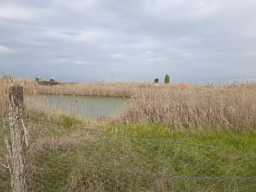 Immagine 3 di Terreno agricolo in affitto  a Cascina