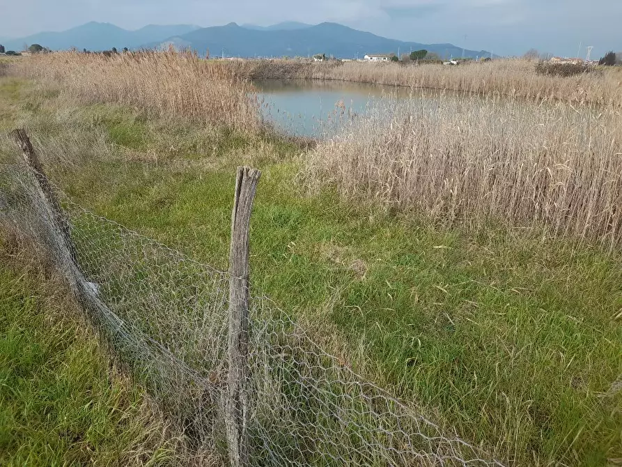 Immagine 1 di Terreno agricolo in affitto  a Cascina