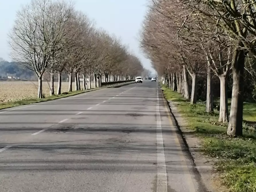 Immagine 4 di Appartamento in vendita  a Pisa